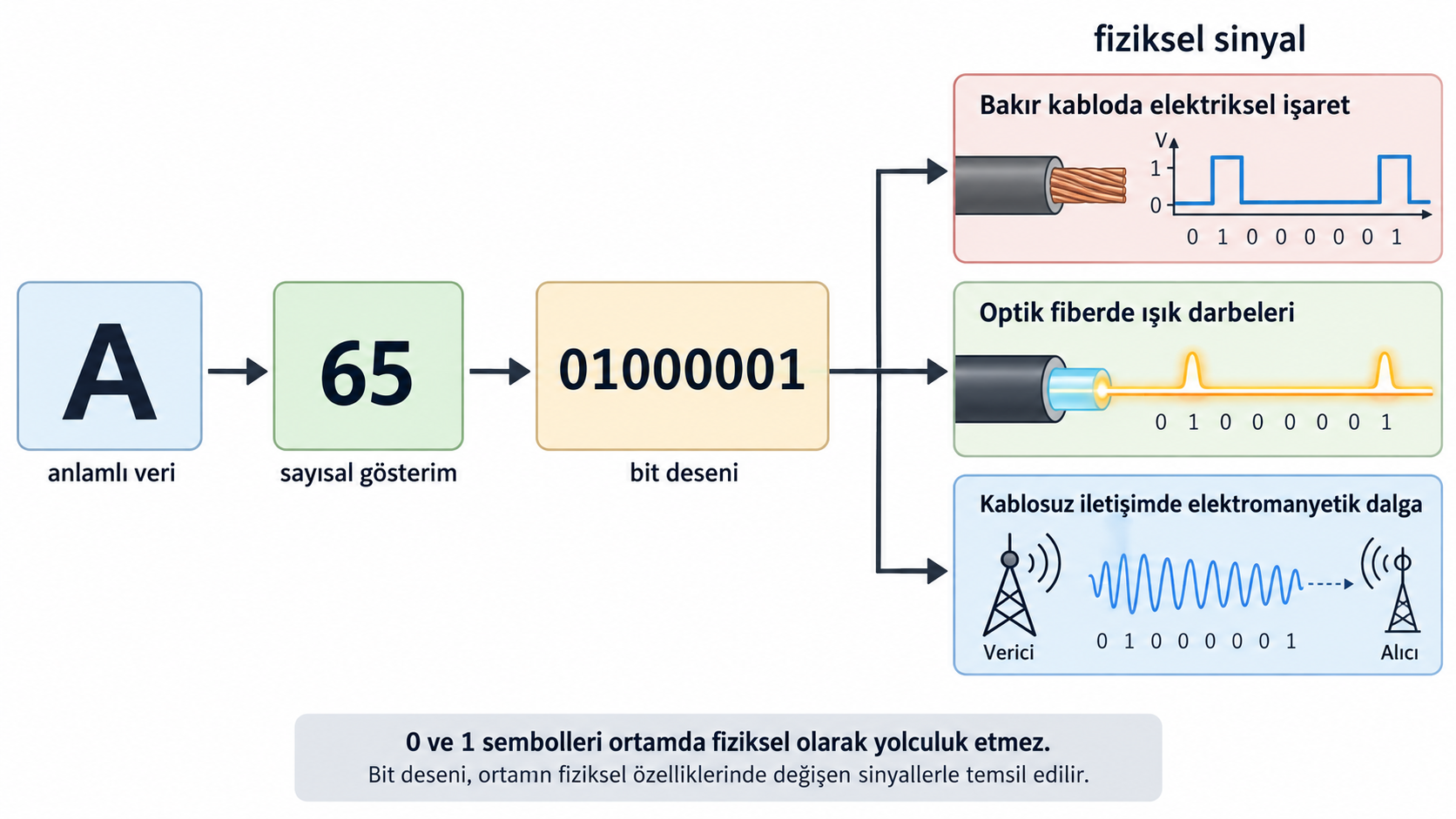 A karakterinin sayısal değere ve bit örüntüsüne dönüştürülerek bakır, fiber ve kablosuz ortamlarda fiziksel sinyallerle temsil edilmesi